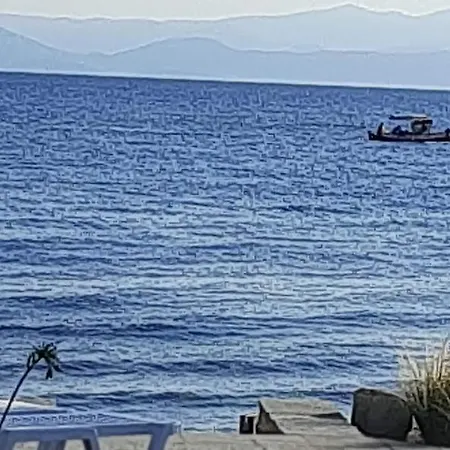 Mermaid Beachfront
